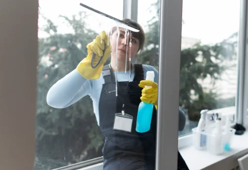 Nettoyage de vitres intérieures et extérieures à Roumégoux